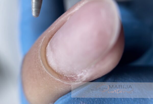 MACRO LENS - Slika 27