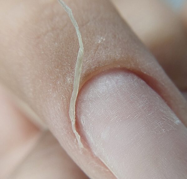 MACRO LENS - Slika 21
