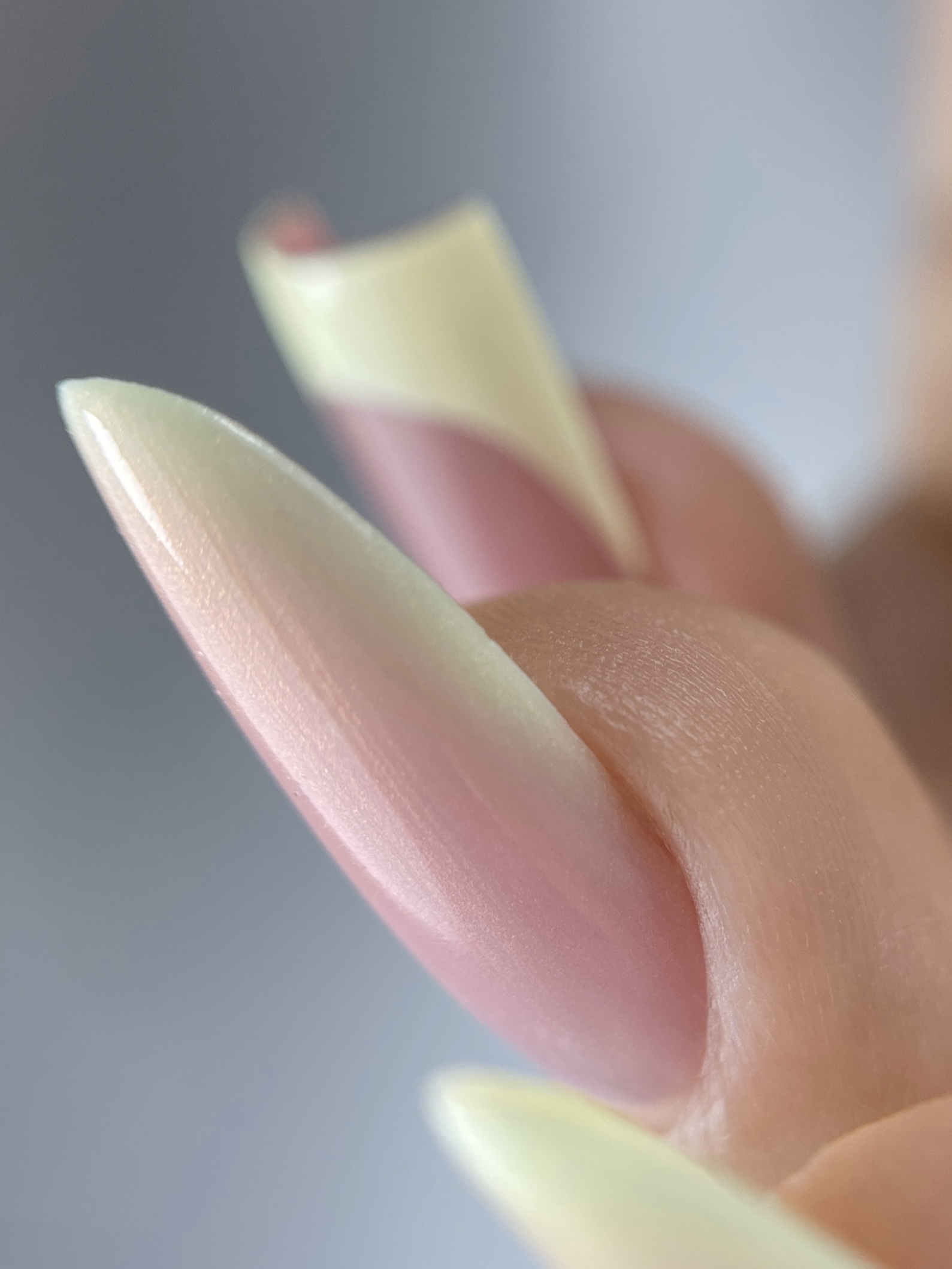 MINI FORME - Duga Resa 4.3. (6.3. je popunjen)